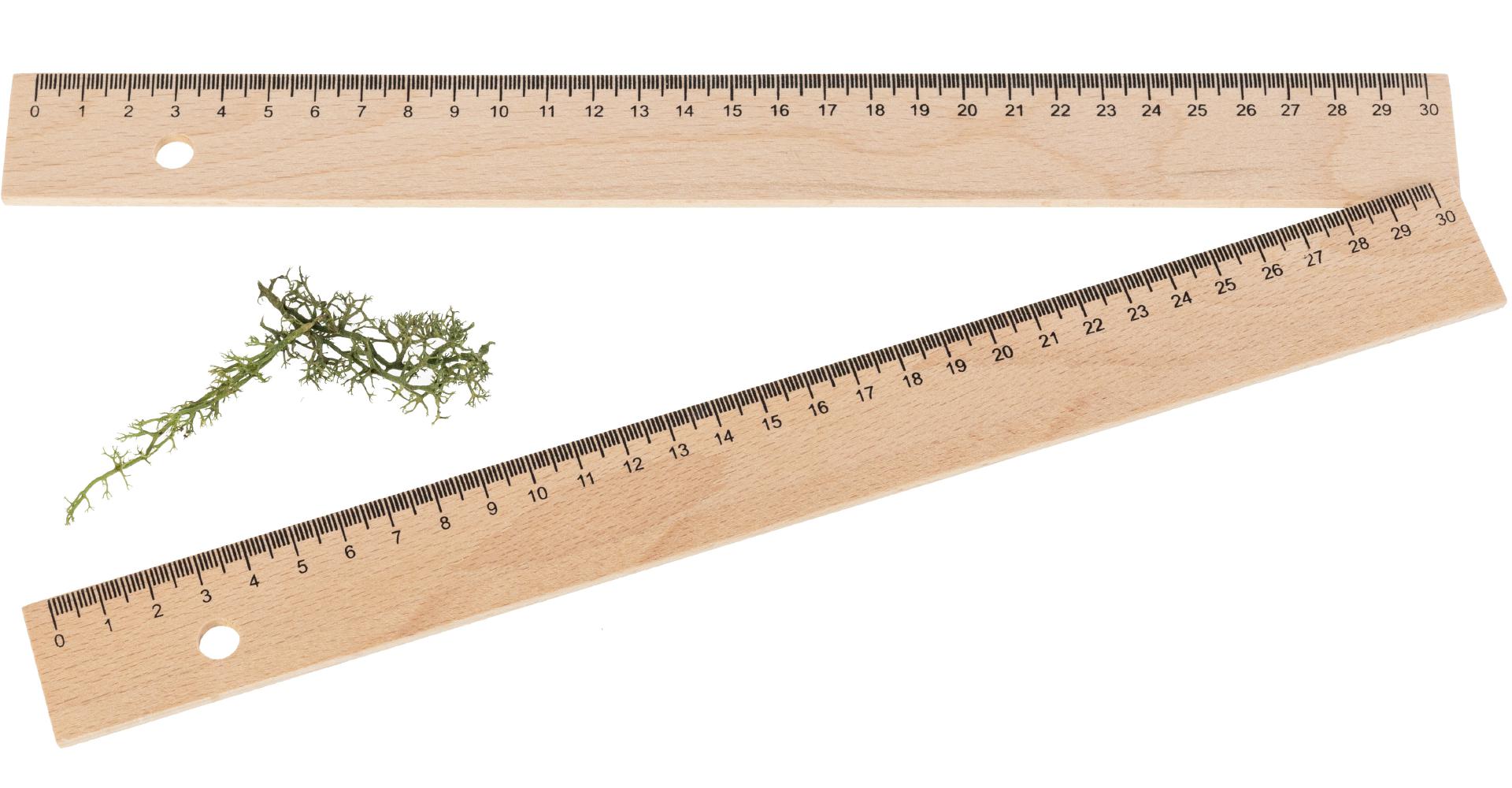 Holz-Lineal aus Buche mit Loch - 30 cm