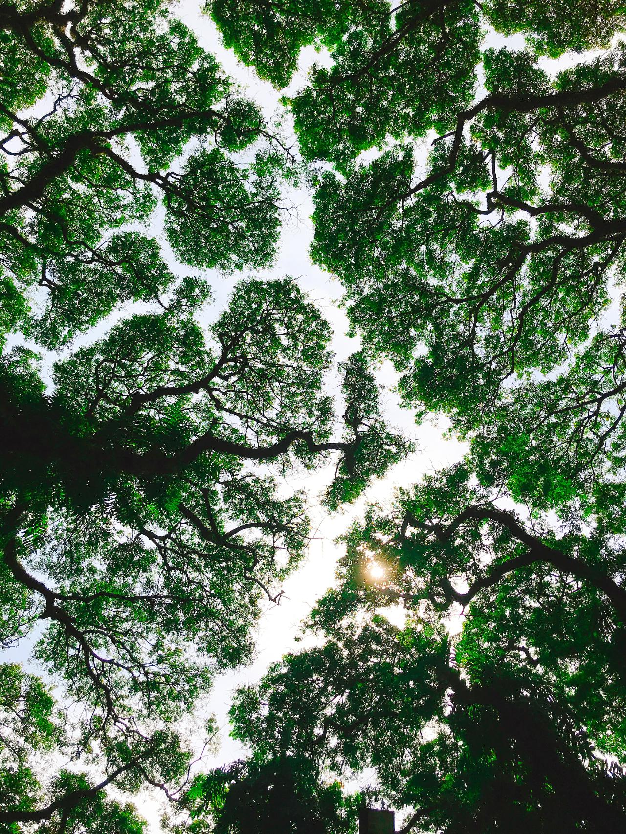 firos-nv-Rr3B0LH7W3k-unsplash