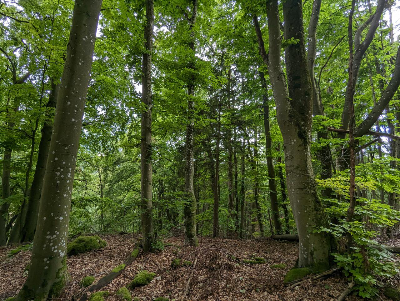 PXL_20230804_095906625