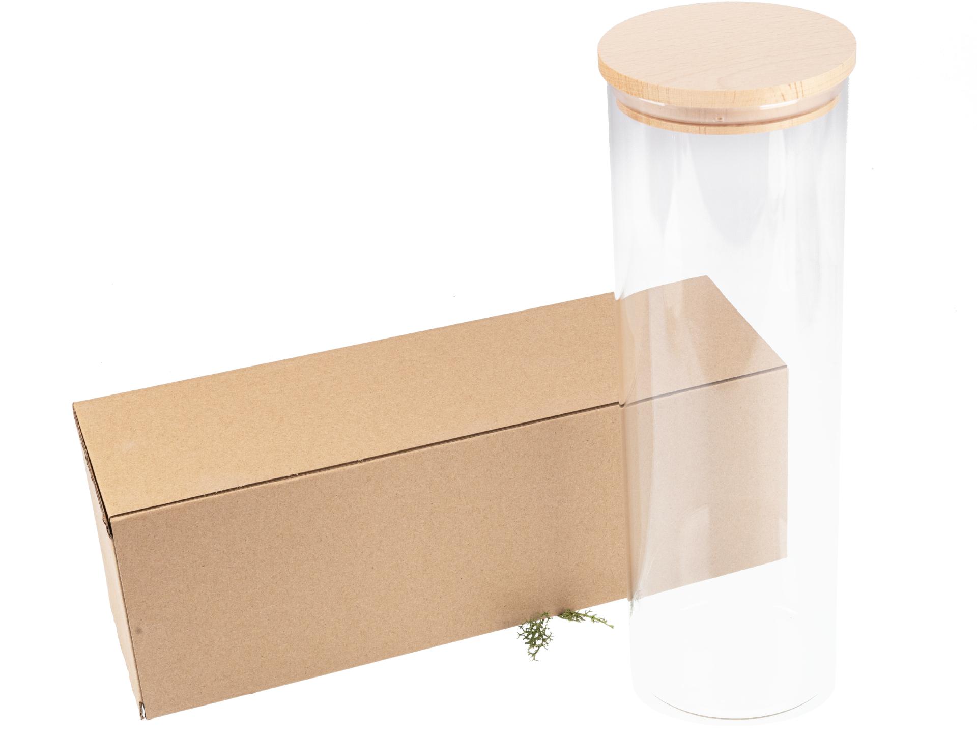 Vorratsglas mit Holzdeckel aus FSC® Buche - Höhe 30 cm - 2200ml