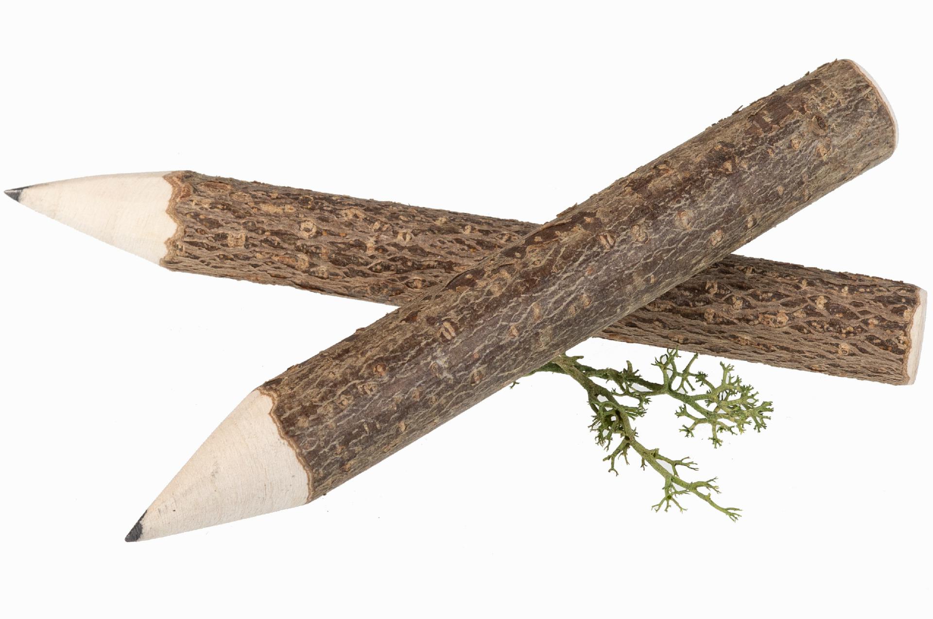 Holz Bleistift - Astbleistift mit Rinde - Nachhaltig und umweltfreundlich