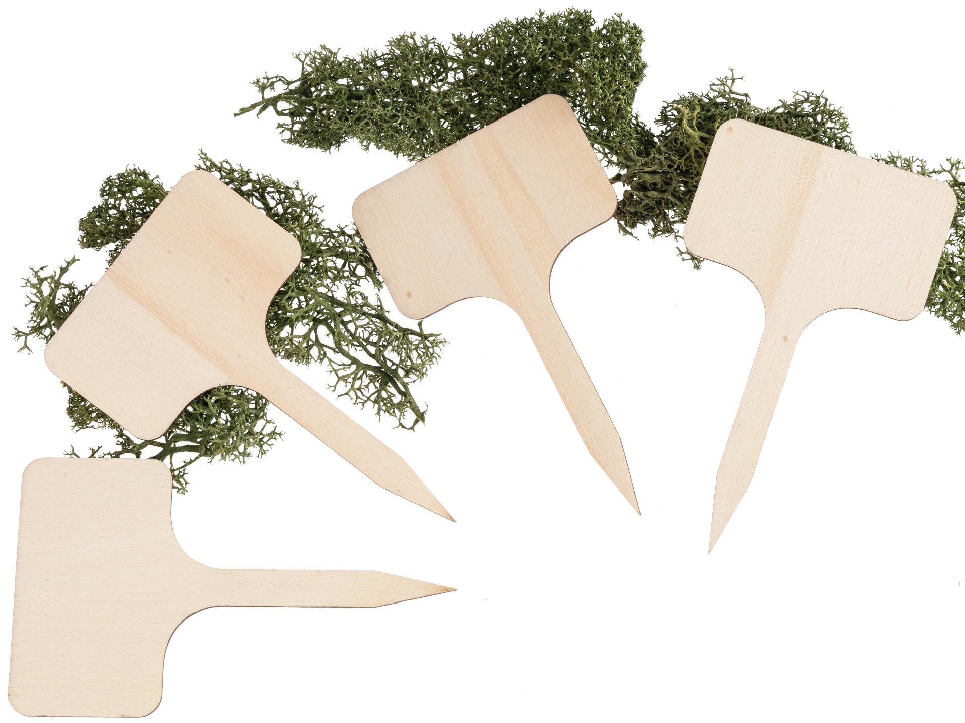 Pflanzenstecker  - Blumenstecker - 10 x 6 x 0,3 cm Pappel