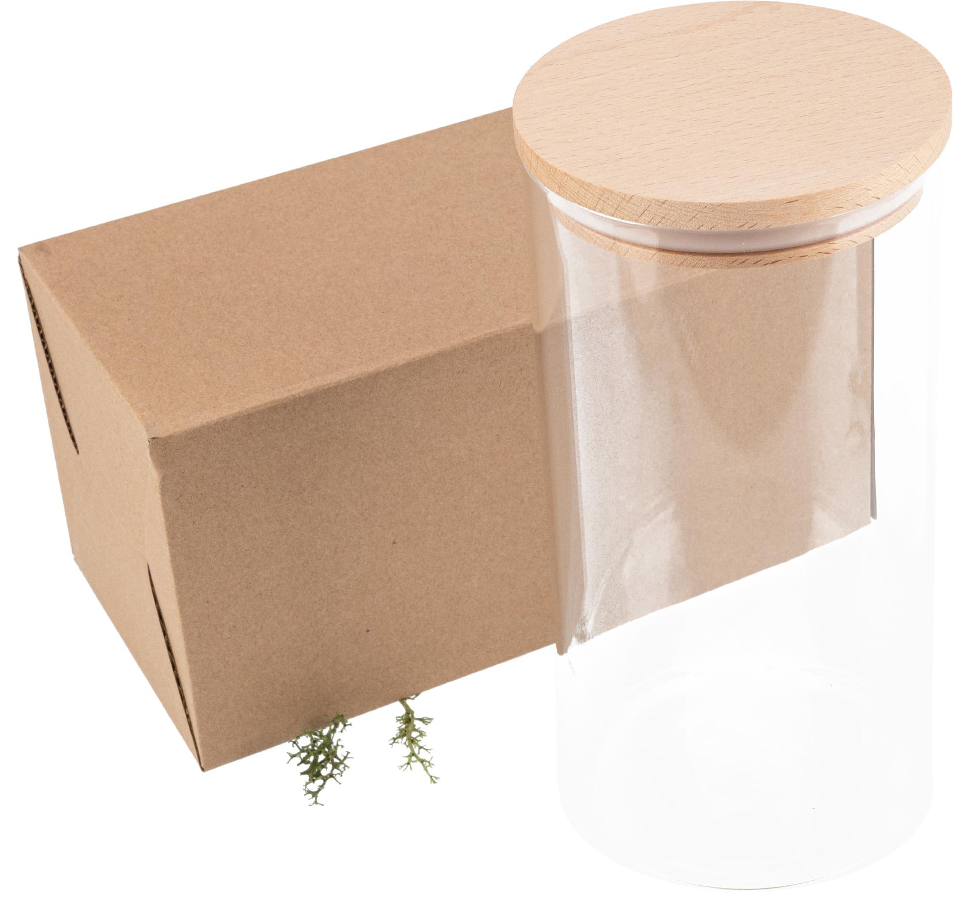 Vorratsglas mit Holzdeckel aus FSC® Buche - Höhe 20 cm - 1500ml