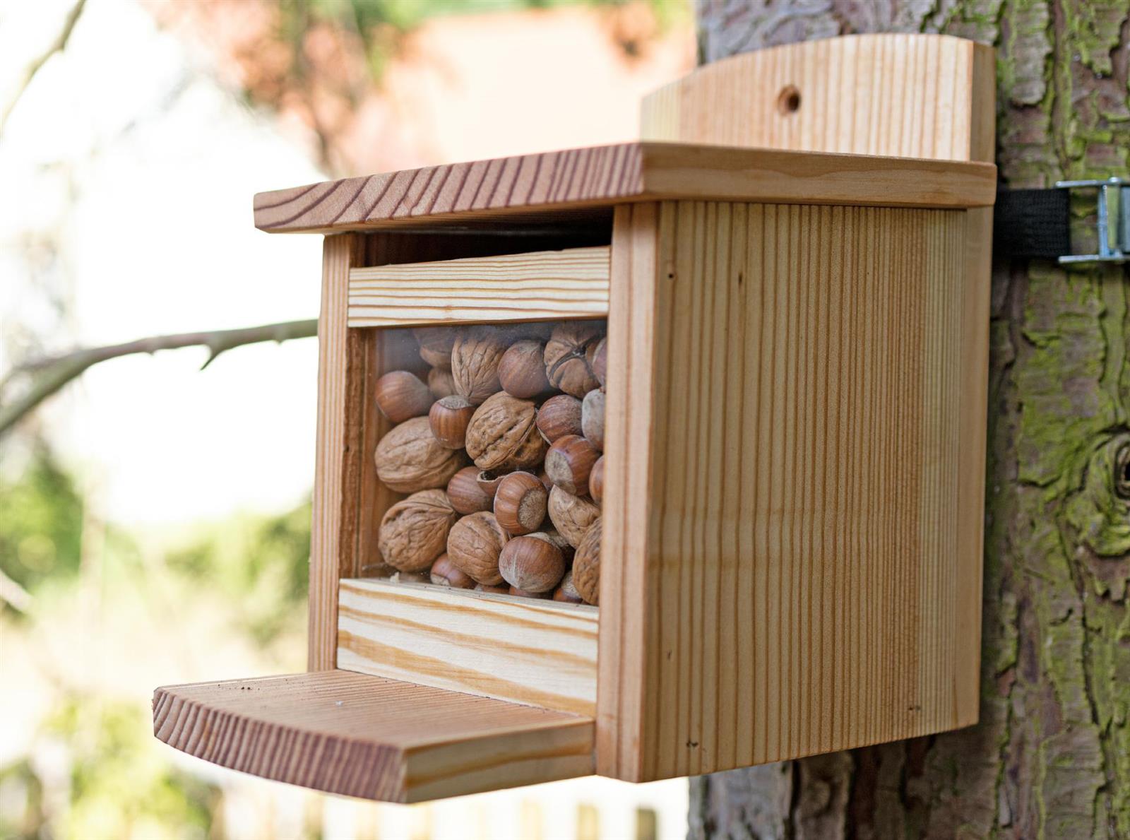 Eichhoernchen Futterhaus aus europaeischer Laerche inklusive Nussspender Futterbox