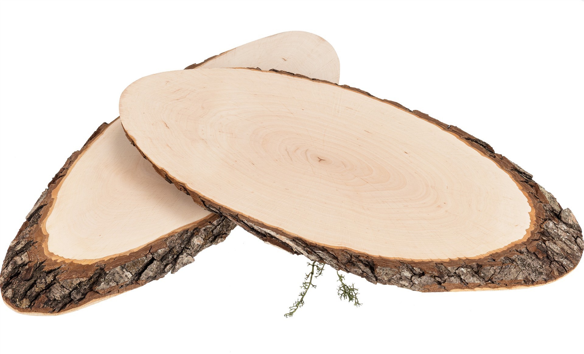 Baumscheibe oval aus FSC® Erlenholz ca. 46 – 56 x 2 cm | Rindenscheibe geölt