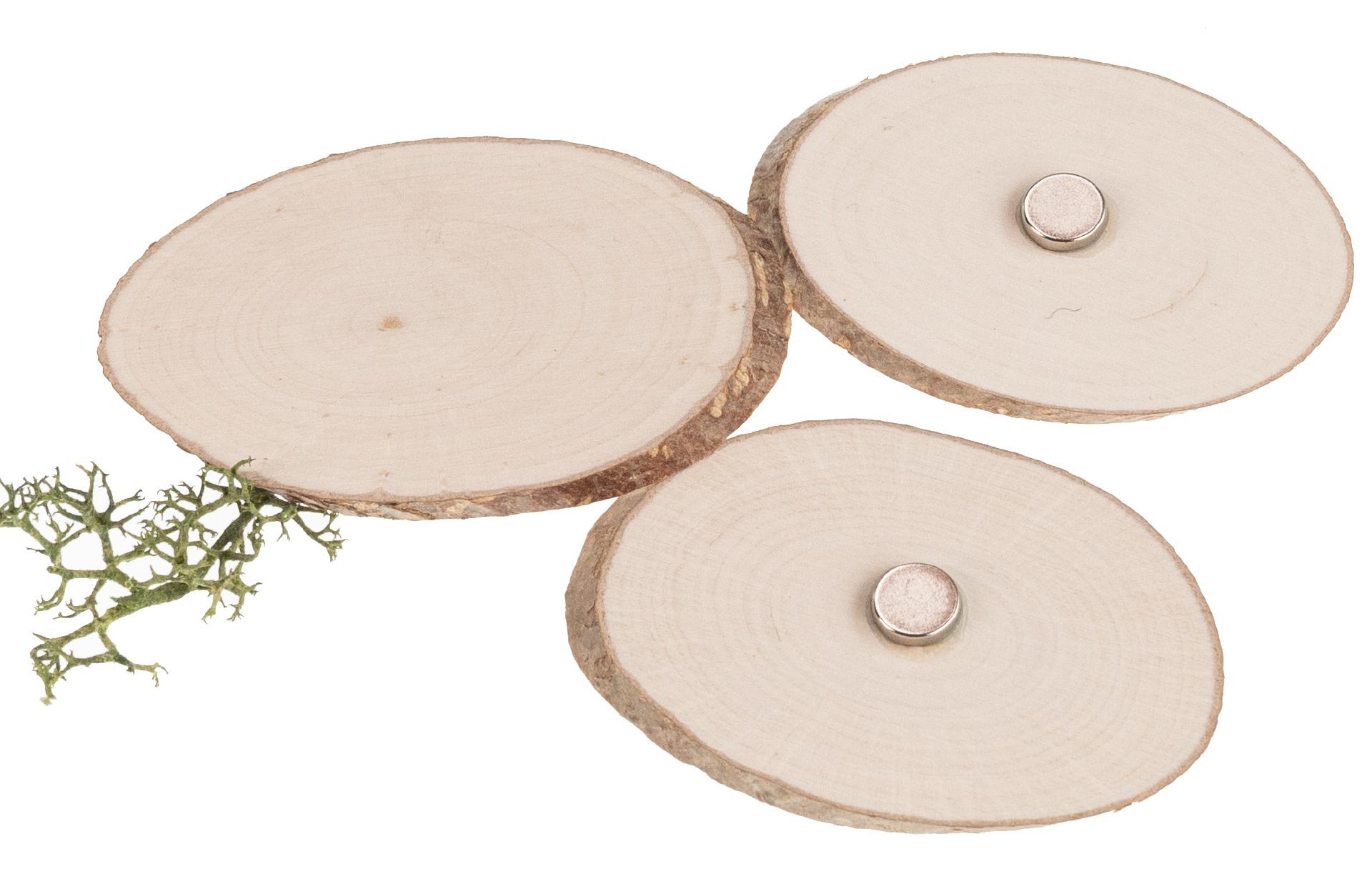 Großer Haselnuss Rindenscheiben-Magnet | oval 10-13cm