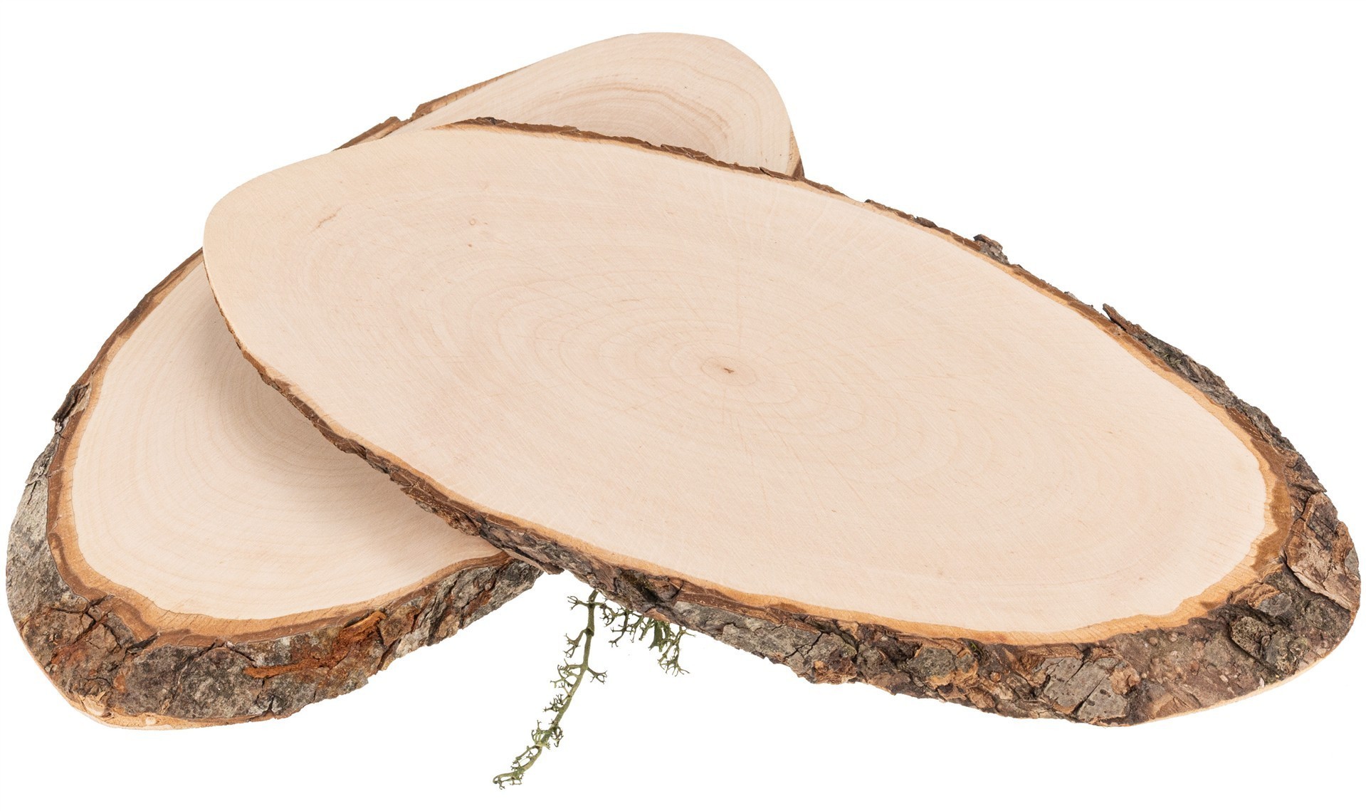 Baumscheibe oval aus FSC® Erlenholz ca. 27 – 32 x 2 cm | Rindenscheibe geölt