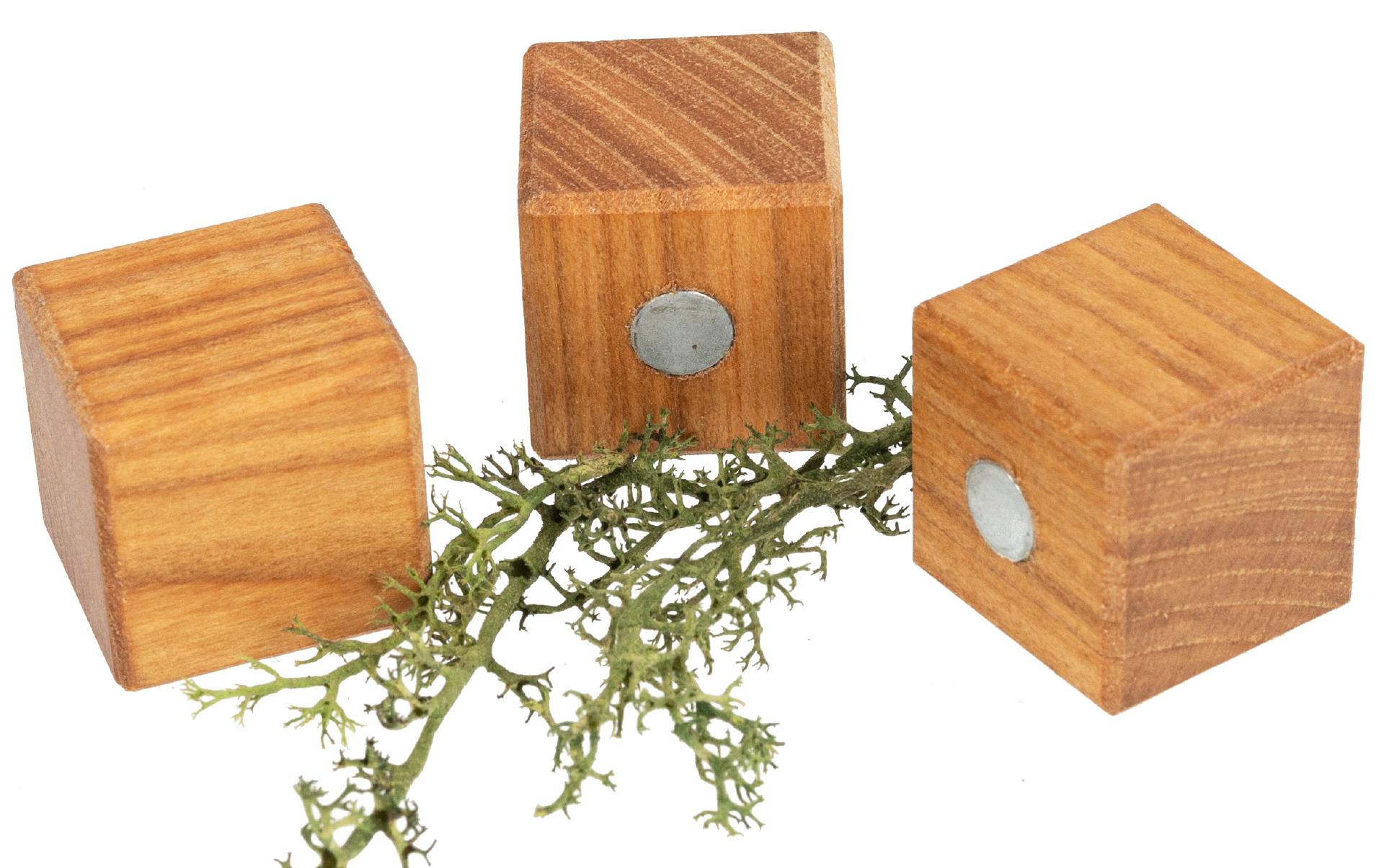 Holz Magnet Würfel aus geölter Kirsche 25 x 25 x 25 mm