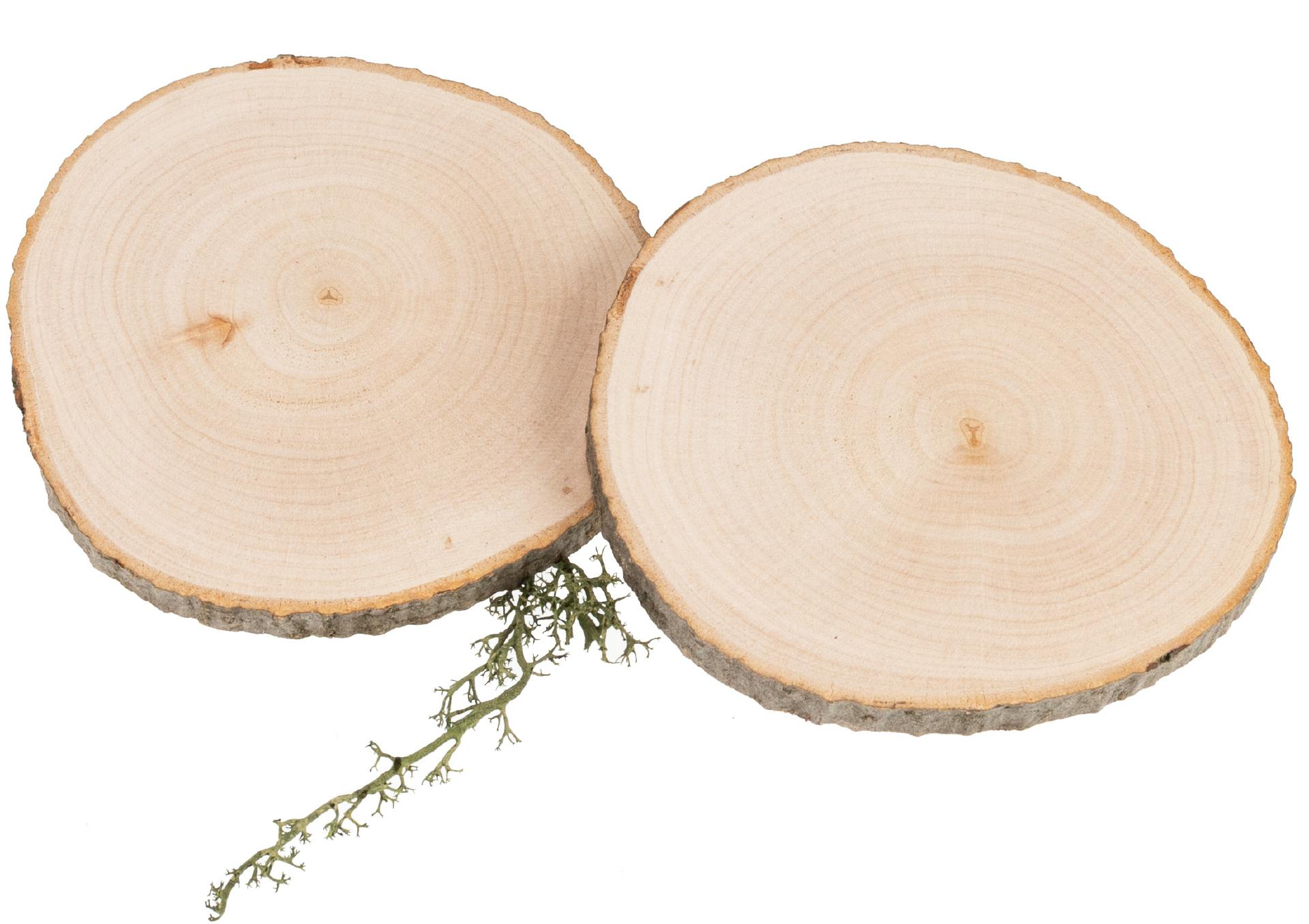 Baumscheibe aus Erle 9 -12 x 0,8 cm - Rindenscheibe rund lackiert