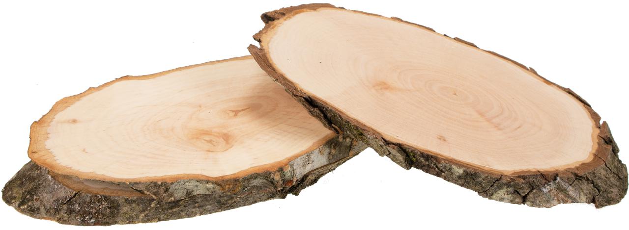 Rindenscheibe Erle oval 14 - 18 cm / Rindenbrett / Baumscheibe lackiert