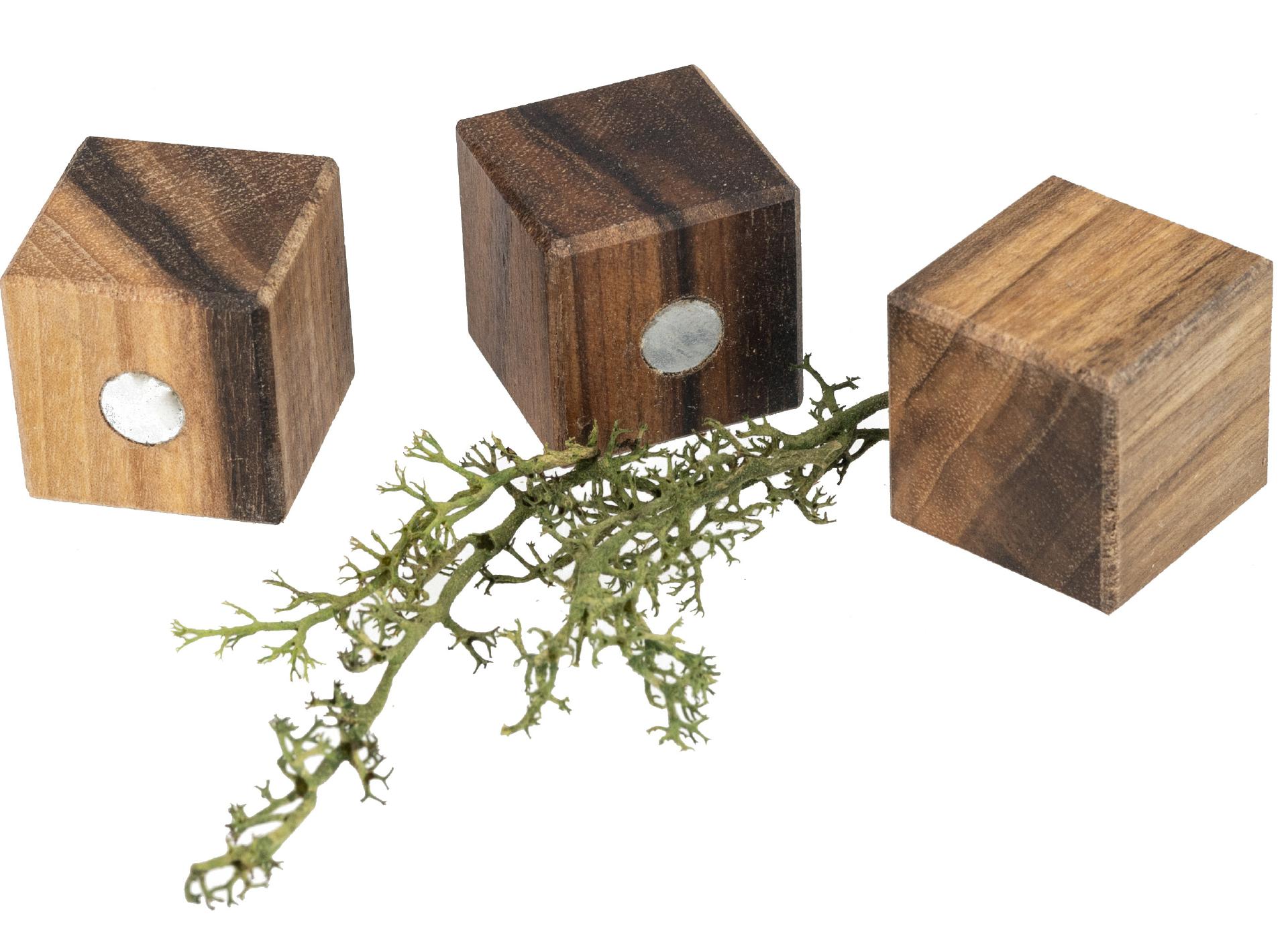 Holz Magnet Würfel aus geöltem Nussbaum 25 x 25 x 25 mm