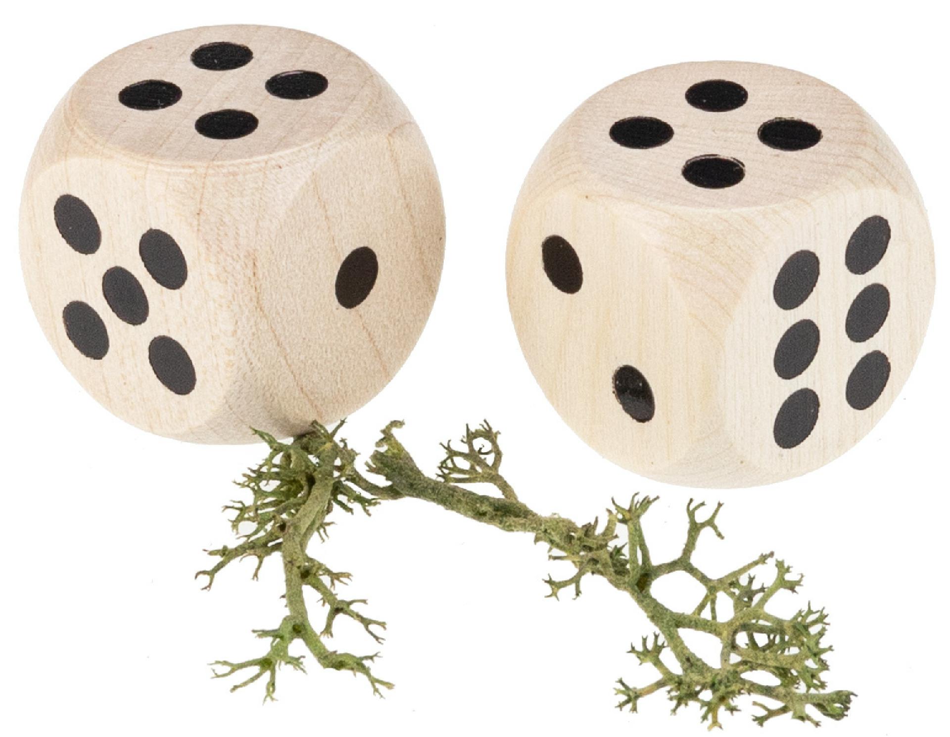 Hochwertiger Ahornholz Spielwürfel | Augenwürfel - 20 mm