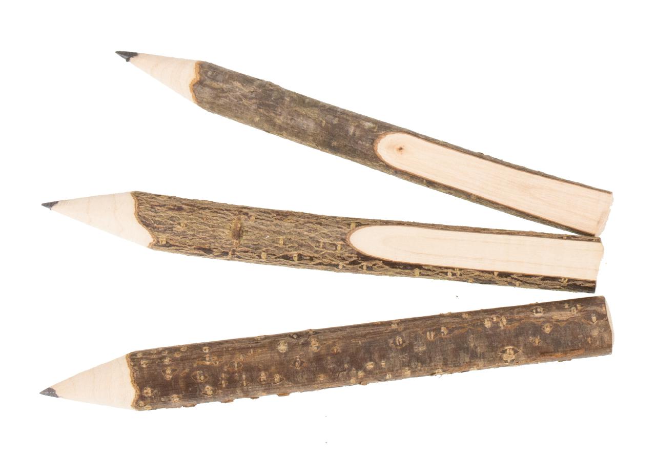 Holz Bleistift Astbleistift mit Rinde und Ausfraesung Nachhaltig und umweltfreundlich