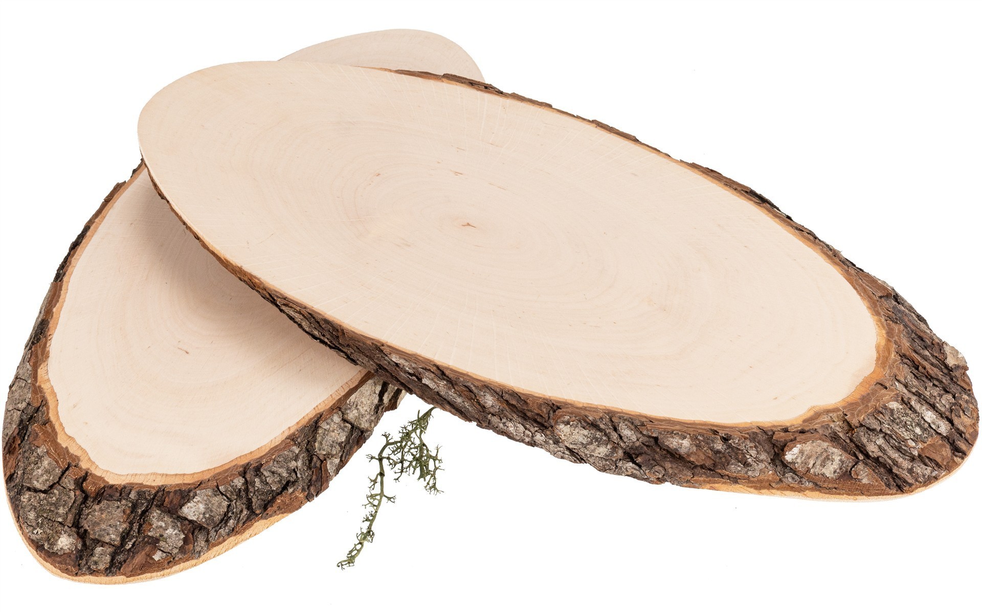 Baumscheibe oval aus FSC® Erlenholz ca. 32 – 40 x 2 cm | Rindenscheibe geölt