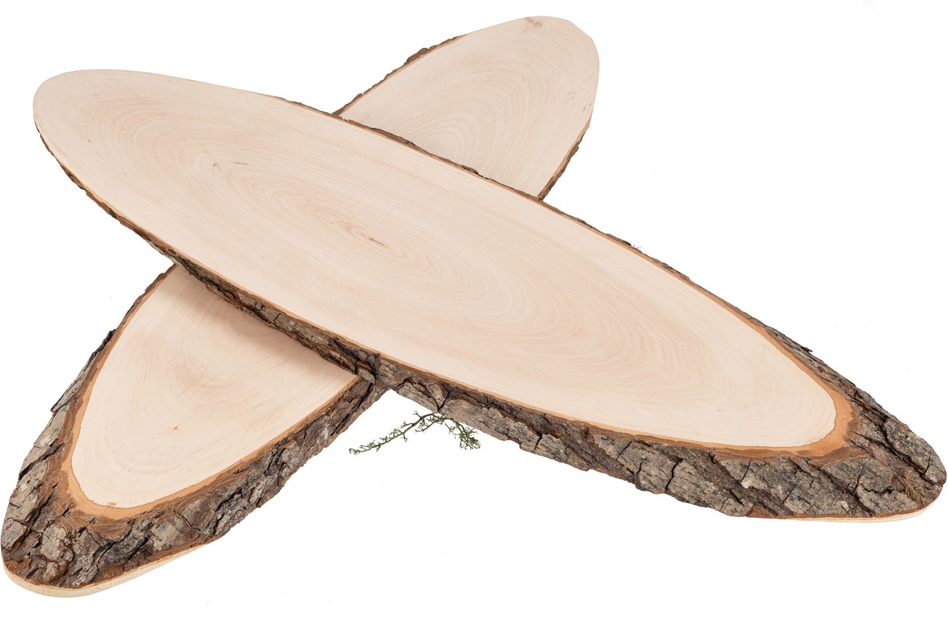 Baumscheibe oval aus FSC® Erlenholz ca. 66 - 76 x 2,5 cm | Rindenscheibe lackiert