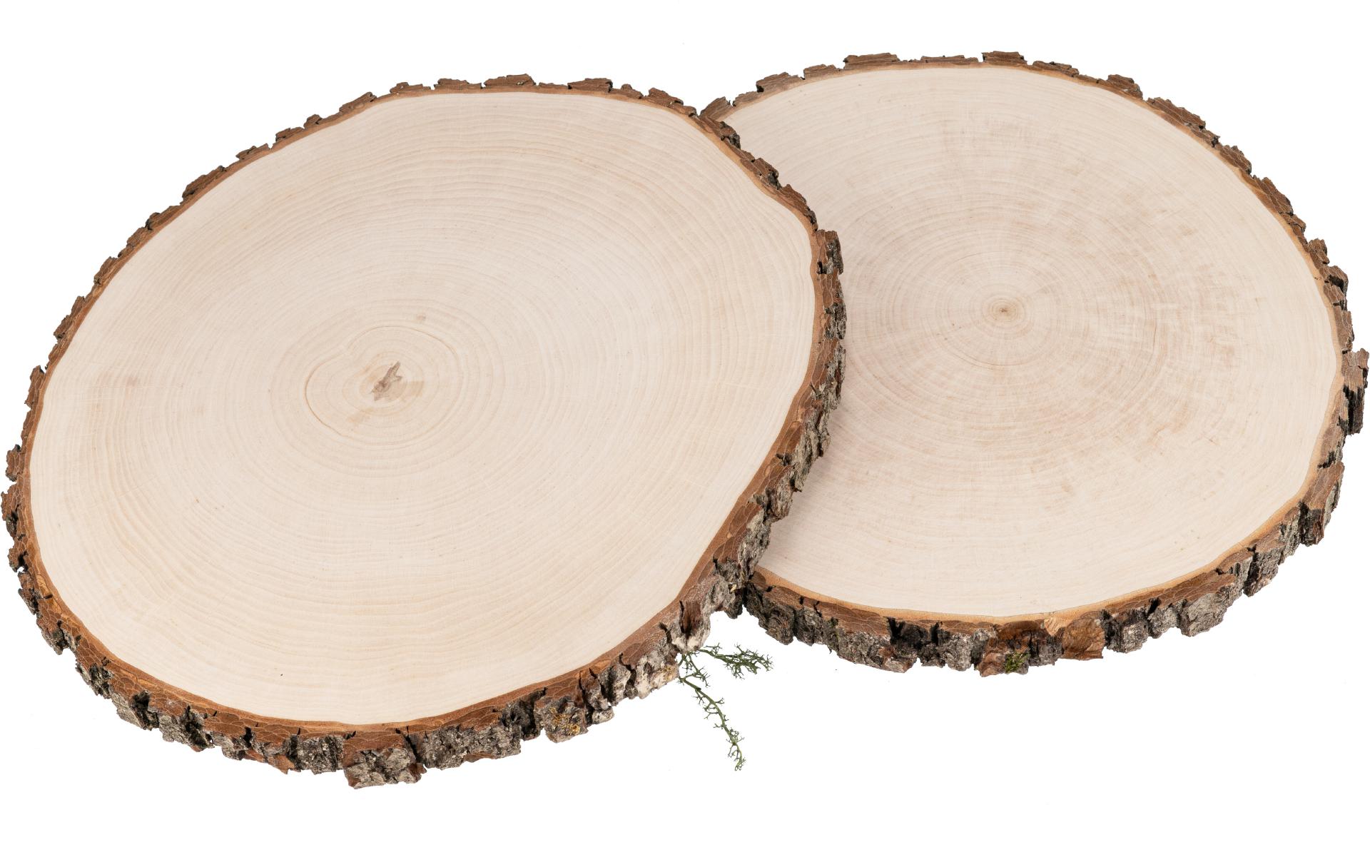 Baumscheibe aus Erle 36 - 40 x 3 cm - Rindenscheibe rund lackiert