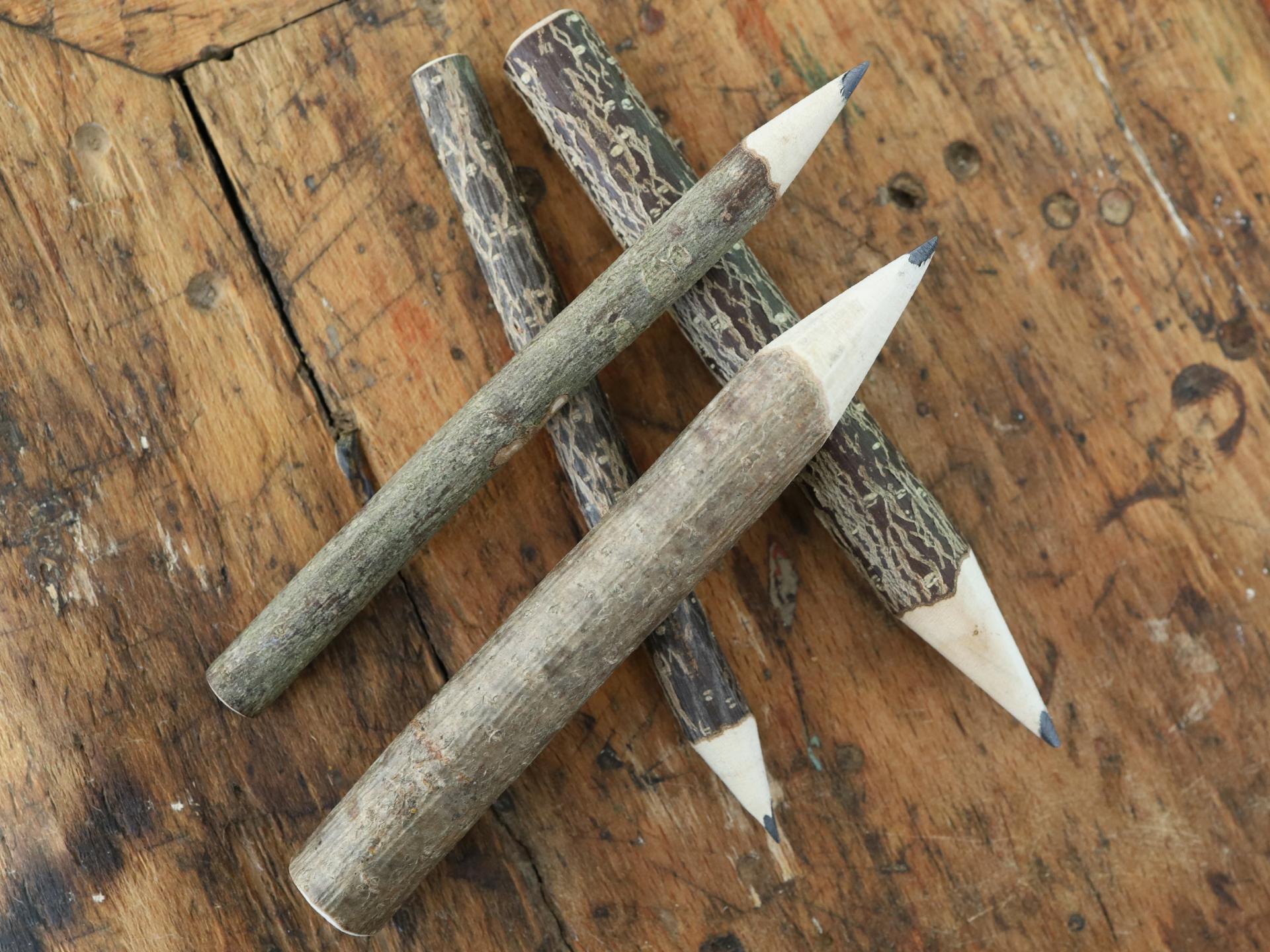 Holz Bleistift Astbleistift mit Rinde Nachhaltig und umweltfreundlich