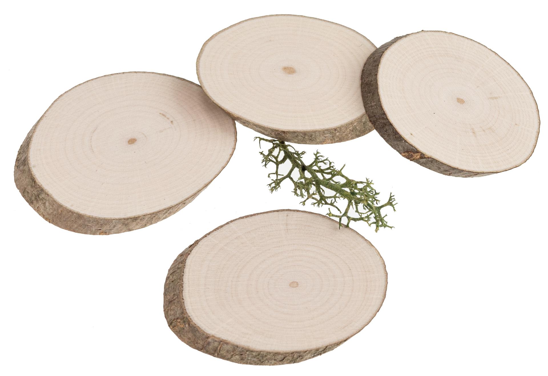 Rindenscheibe Haselnuss oval - 4 - 6 x 0,6 cm
