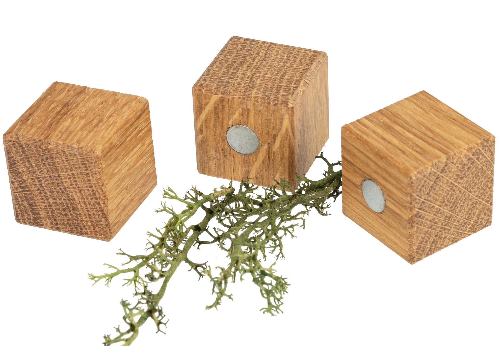 Holz Magnet Würfel aus geölter Eiche 25 x 25 x 25 mm