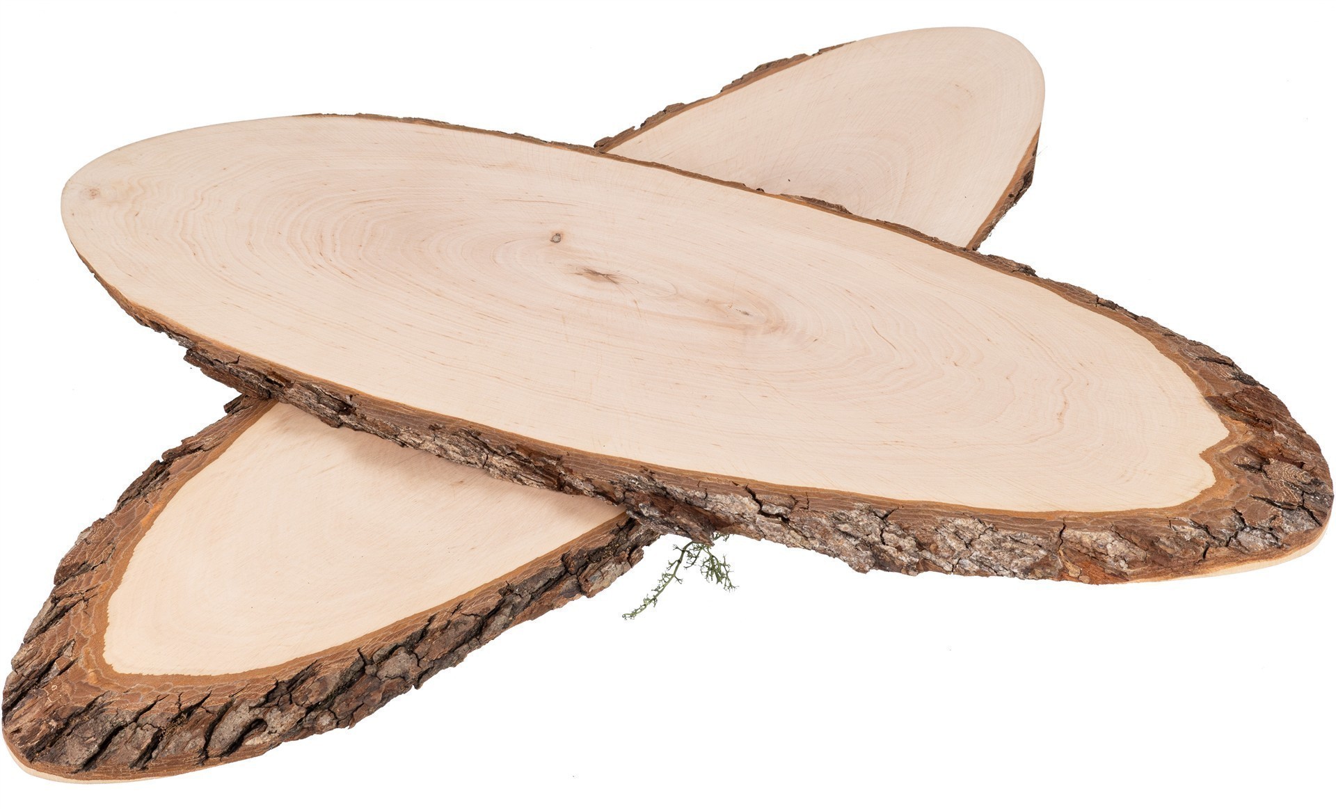 Baumscheibe oval aus FSC® Erlenholz ca. 76 - 85 x 2,5 cm | Rindenscheibe lackiert