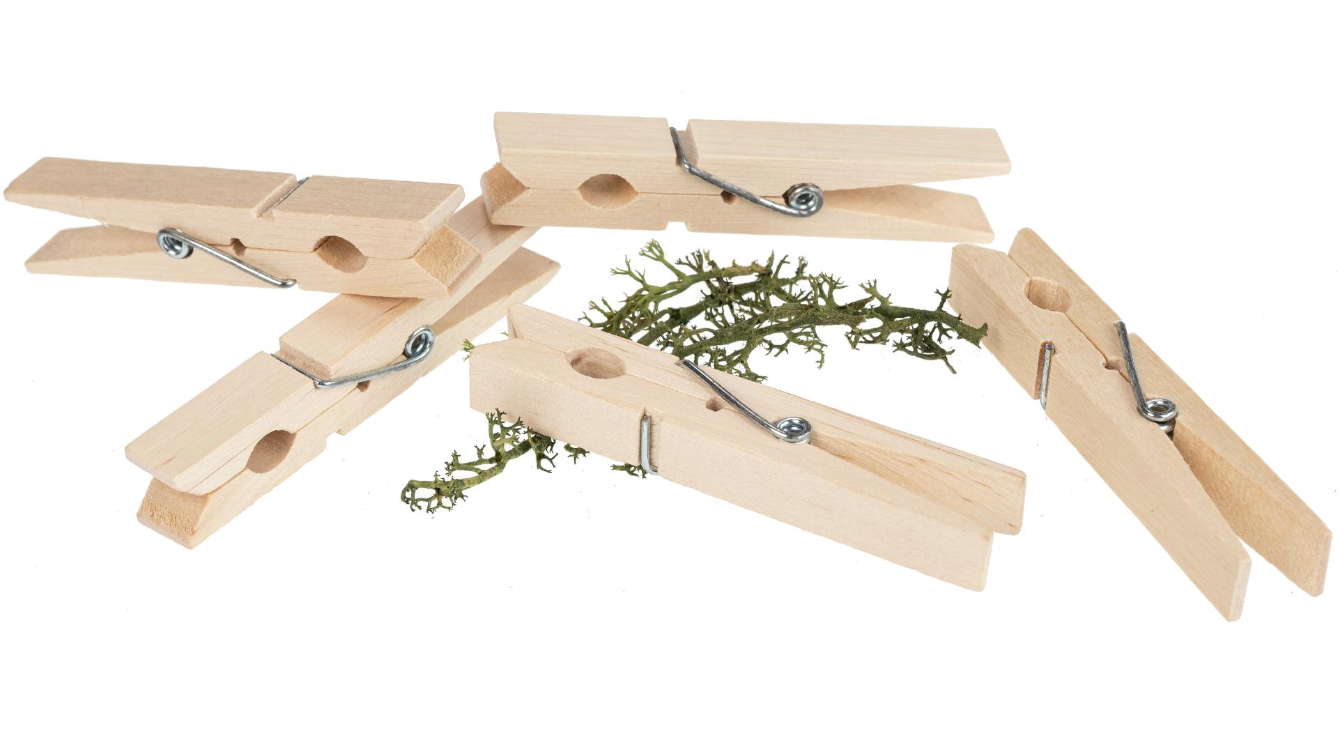 Holz-Wäscheklammer aus Holz - 50er Pack - 75 x 10 x 14 mm