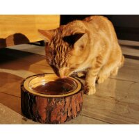 Handmade wooden food bowl for dog or cat with glass insert