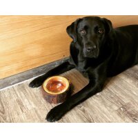 Handmade wooden food bowl for dog or cat with glass insert