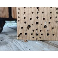 Massives Nistholz-Insektenhotel aus Buchenholz - Wildbienen Hotel - 25 x 18 x 9 cm