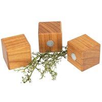 Holz Magnet Würfel aus geölter Kirsche 25 x 25...