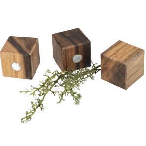Wooden magnet cube made of oiled walnut 25 x 25 x 25 mm