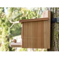 Squirrel feeder made of European larch - including nut dispenser / food box