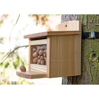 Squirrel feeder made of European larch - including nut dispenser / food box