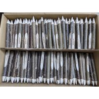 Personalisierter Holz Ast Kugelschreiber mit Laser Gravur