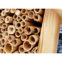 Personalized wooden wild bee hotel with laser engraving