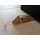 Personalized wooden doorstop in plain oiled oak with laser engraving