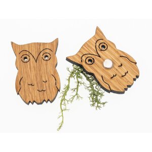 Holz Magnet in Eulen Form | Eiche geölt FSC® zertifiziert