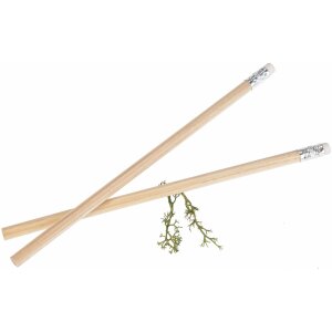 Unbehandelter Holzbleistift mit Radiergummi - 187 x 7 mm - umweltfreundlich und nachhaltig