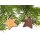 Holz Weihnachtsbaumschmuck - Stern