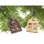 Wooden Christmas tree decorations - House