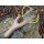 Wooden slingshot personalized / Slingshot made of beech wood - with your laser engraving