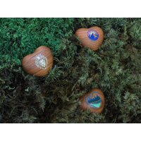 Herz-Handschmeichler aus Kirschholz geölt –...