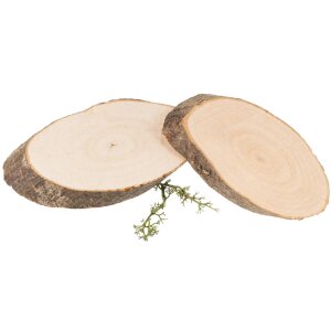 Tree slice with oval hazelnut bark - approx. 10 - 12 x 0.8 cm