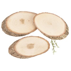 Baumscheibe mit Rinde oval aus Eiche - ca. 6 - 9 x 1 cm