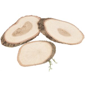 Baumscheibe mit Rinde oval aus Eiche - ca. 10 - 12 x 1 cm