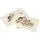 Frühstücksbrett FSC® Ahorn 26 x 15 x 1,2 cm - Gemüse Brett mit Gemüse Motiv