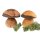 Hand-turned mushrooms made of oiled alder - natural wood decoration approx. 7.5 cm