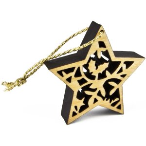 Stern Anhänger, Erle Stern Mistelzweige