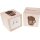 Money box - natural spruce - cube shape - oiled walnut motifs - motif: beer cash box