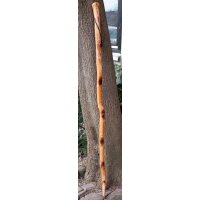 Shepherds crook with carved edelweiss motif - hiking stick for alpine adventures